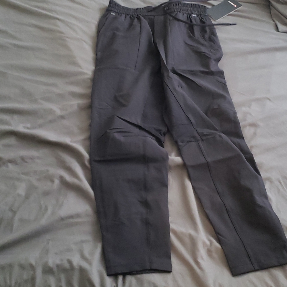 License to train pant